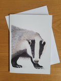 6ab1309ac7afc91f28ec1f68_badger-card-2_1790087007649.jpg