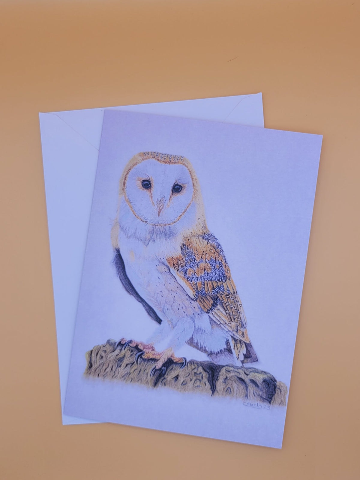 6ab1309ac7afc91f28ec1f68_barn-owl-card_1790087314044.jpg