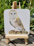 6ab1309ac7afc91f28ec1f68_barn-owl-coaster_1790090271189.jpg