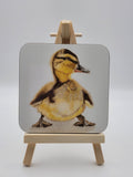 6ab1309ac7afc91f28ec1f68_coaster-duckling_1790090330486.jpg