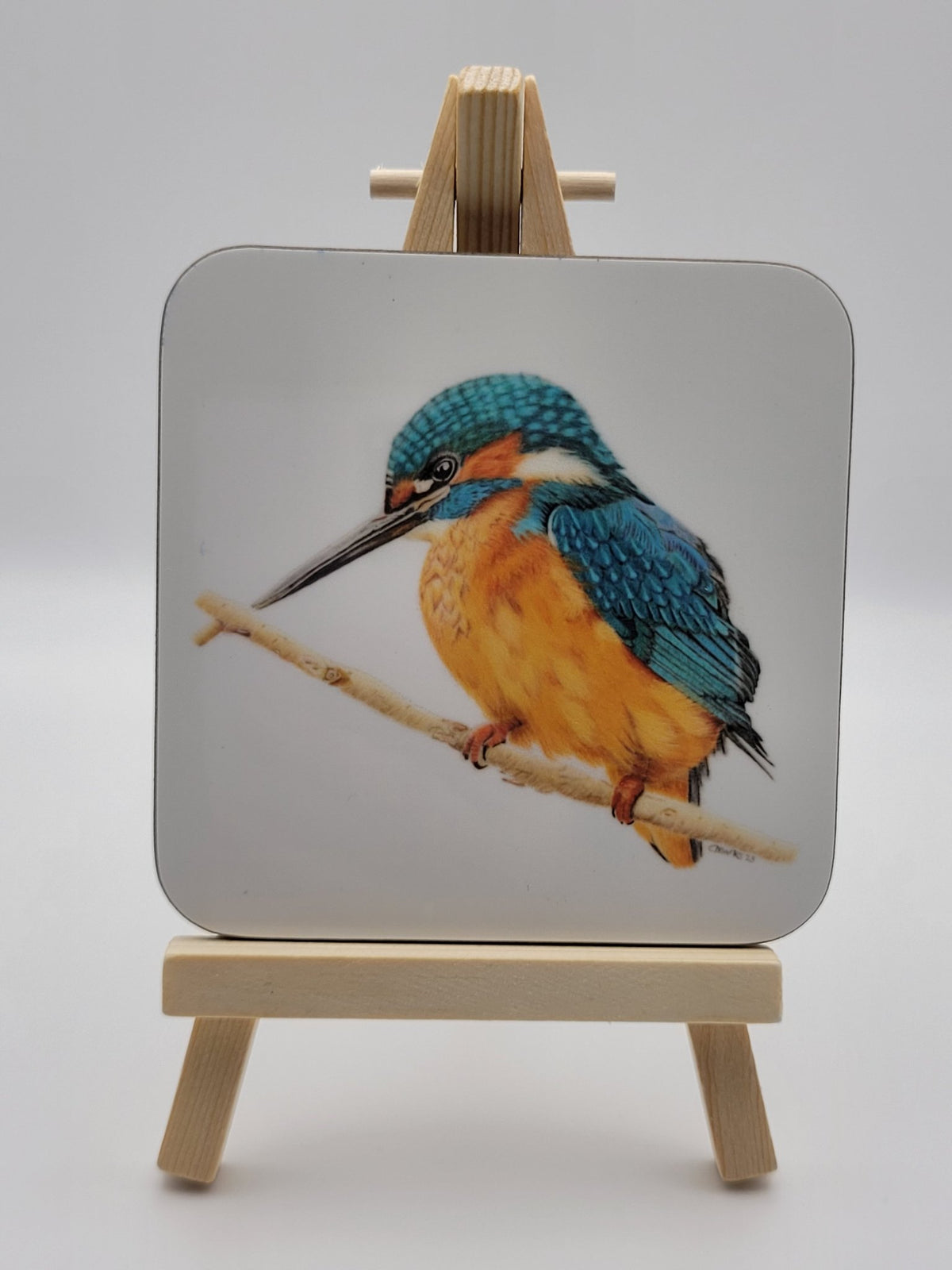 6ab1309ac7afc91f28ec1f68_coaster-kingfisher_1790090497878.jpg