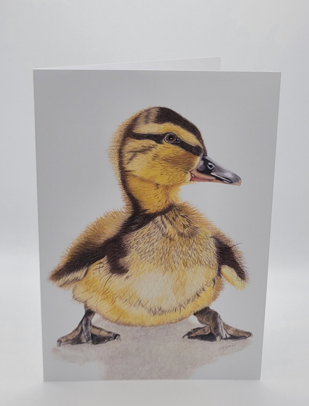 6ab1309ac7afc91f28ec1f68_duckling-card_1790087373051.jpg