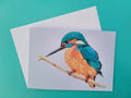 6ab1309ac7afc91f28ec1f68_kingfishercard3_1790087535266.jpg