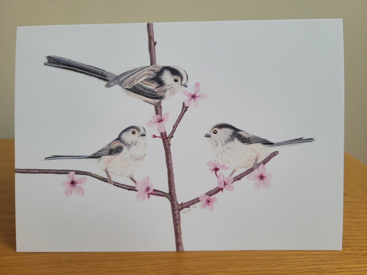6ab1309ac7afc91f28ec1f68_long-tailed-tits-card_1790087805309.jpg