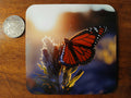 6ab1309ac7afc91f28ec1f68_red-butterfly-coaster-wooden_1790613501343.jpeg