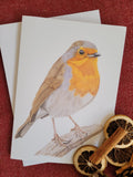 6ab1309ac7afc91f28ec1f68_robin-card_1790088027675.jpg