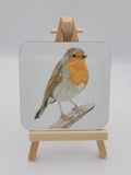 6ab1309ac7afc91f28ec1f68_robin-coaster_1790090660292.jpg
