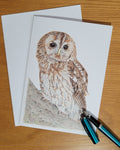 6ab1309ac7afc91f28ec1f68_tawny-owl-card-4_1790088103557.jpg