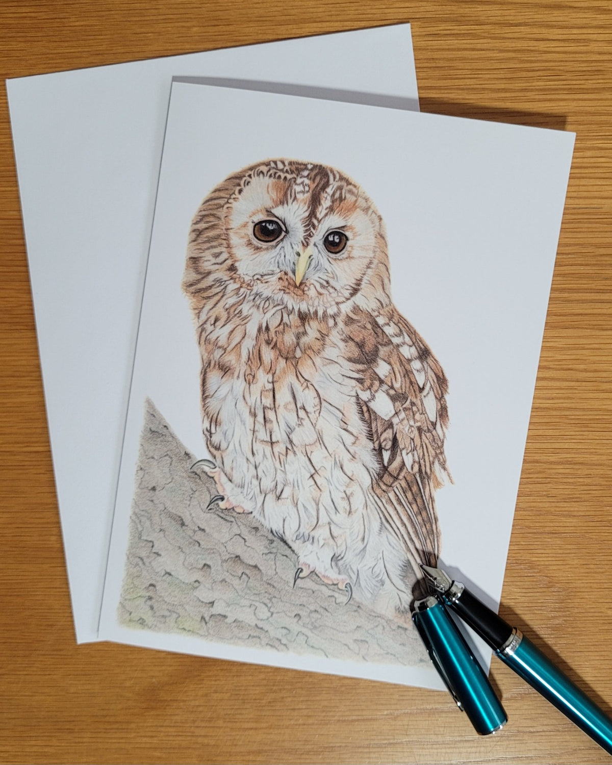 6ab1309ac7afc91f28ec1f68_tawny-owl-card-4_1790088103557.jpg